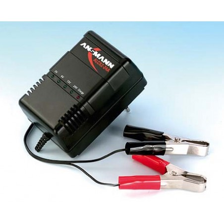 ANSMANN ALCS 2-24V