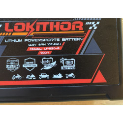 Lokithor LPS20-8